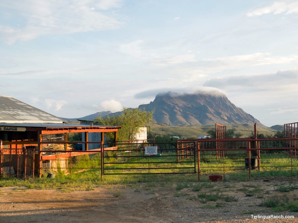 Big Bend Photos Pictures Taken At & AroundTerlingua Ranch Lodge