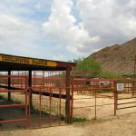 Terlingua Texas Horse Stable Corral Pen Paddocks Loading Chute